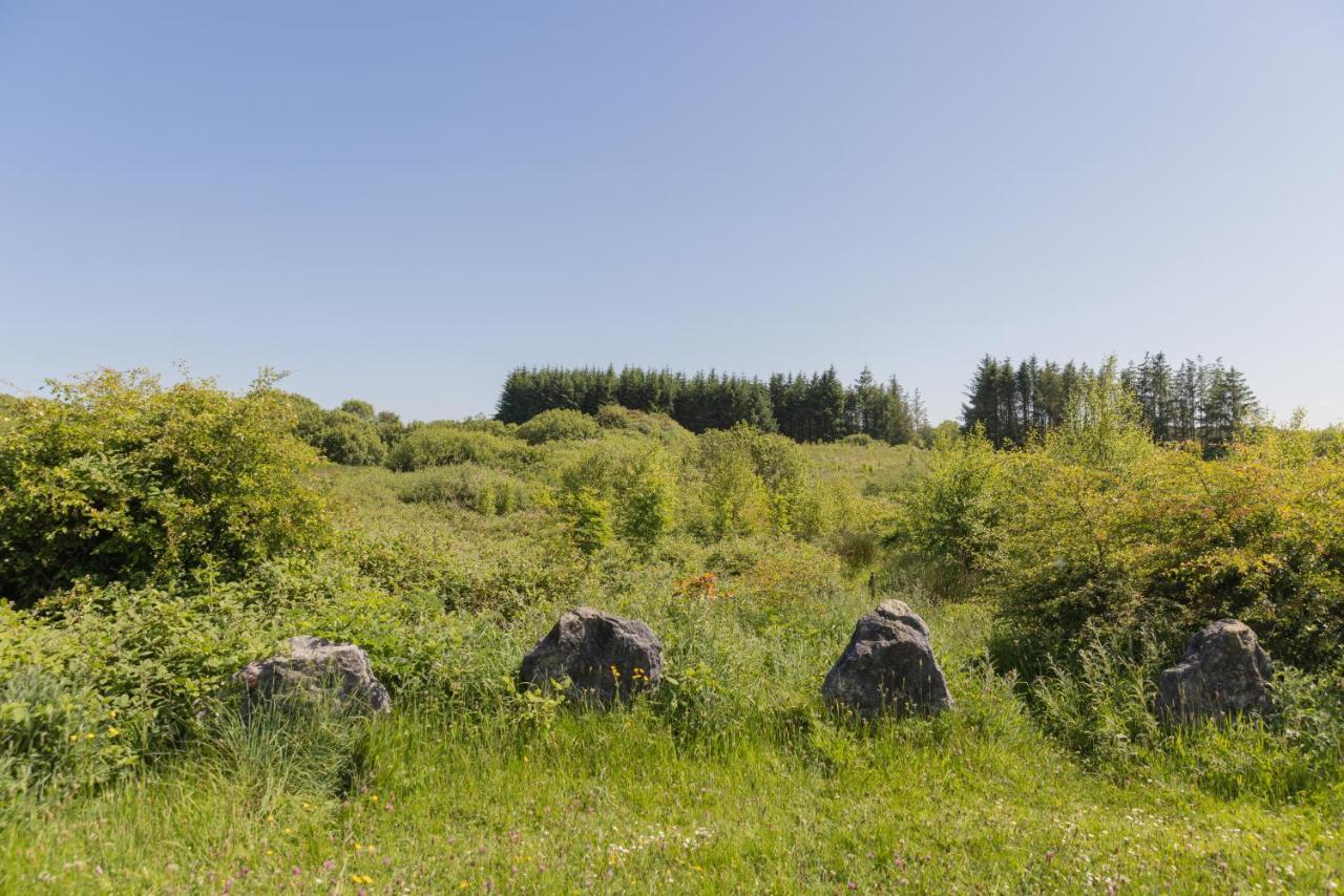 Kilfenora The Common Knowledge Centre 호스텔 외부 사진